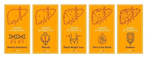 Stock vector Causes of hepatitis. Hep precaution. Obesity, diabetes, genetics, weight loss. Web banner. Medical Poster. Global community campaign. Medicine, healthcare concept in outline style. Vector illustration