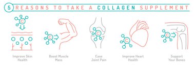 Kolajen takviyesi almak için beş neden. Tıbbi, sağlık hizmetleri bilgileri ana hatlarıyla. Bilgilendirici poster, afiş. Sağlık konsepti. Beyaz arkaplanda izole edilmiş düzenlenebilir vektör illüstrasyonu