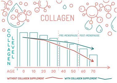 Yaşına göre kadınlarda kolajen üretimi. Tıbbi, sağlık bilgi grafikleri. Önemli bir bilgi. Menopoz sorunu. Beyaz arkaplanda izole edilmiş düzenlenebilir vektör çizimi. Yatay Pankart