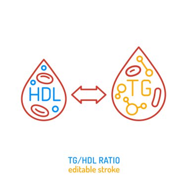 Lipid profili TH 'den HDL simgesine, pictogram. Taslak vektör çizimi. Kardiyovasküler risk değerlendirmesi için kolesterol bileşenleri, kalp sağlığı izleme, vücut metabolizması. Düzenlenebilir vuruş tasarımı