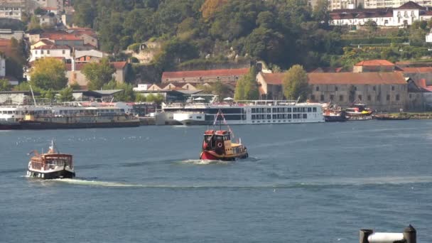 Porto Portogallo Ottobre 2019 Barche Turistiche Sul Fiume Douro Contro — Video Stock