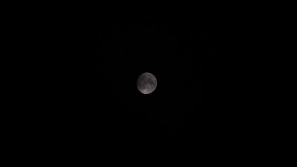 Lua Cheia Centrada Lentamente Desaparecendo Nas Nuvens Céu Negro Noite — Vídeo de Stock