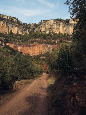 Siurana 'da, El Priorat' ta, Katalonya 'da, İspanya' da ormanlı toprak bir yol.