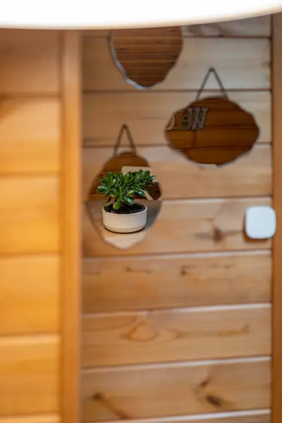 Jade plant through reflection in the mirror on the wall in a wooden house. Decoraction concept.