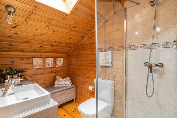 Decorated interior of country cottage. Shower cabin, sink and toilet in bathroom with wooden walls.