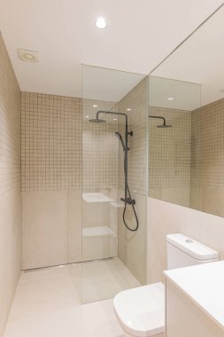 Duş bölgesi, yağmur başlığı, el ele tutuşan duş ve cam bölmeli modern minimalist banyo.