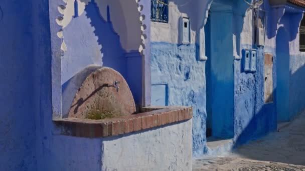 黑猫在一条空旷狭窄的街上晒太阳 摩洛哥王国Chefchaouen市镶嵌着深蓝色色彩的风景如画的墙壁几乎与天空融为一体 — 图库视频影像