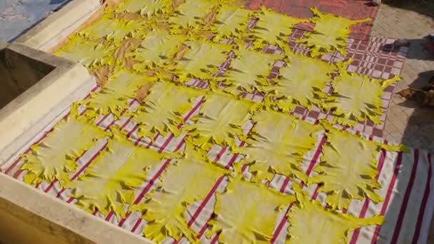 Bőr Festett Természetes Sárga Festék Megszáradni Perzselő Nap Alatt Háztetőn — Stock videók