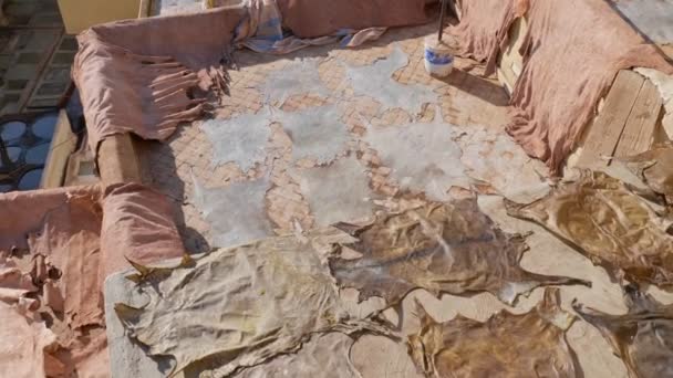 大块的动物皮躺在房顶上 在非洲烈日下晒干 真皮的分步制造技术 牛皮在制革厂烘干 — 图库视频影像