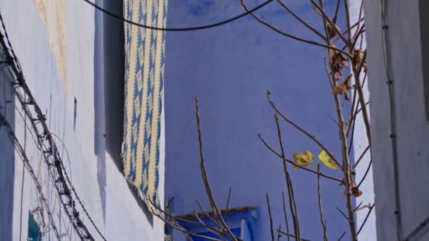 Вид Знизу Дахи Старих Будинків Стінами Пофарбованими Різні Відтінки Синього — стокове відео