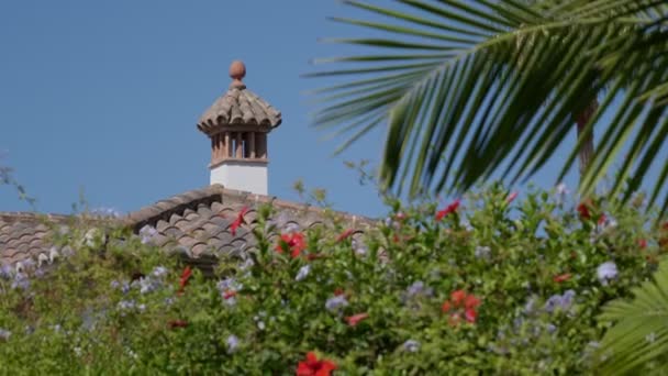 Charming View Classic Chimney Architecture Burst Floral Color — Video