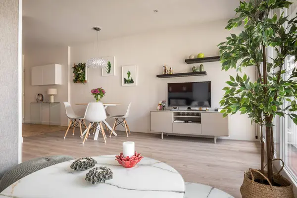 Masası, sandalyeleri ve televizyon ve kahve masasına bakan dekoratif aksesuarları olan küçük bir dairede modern bir iç mekan. Rahat şehir dairesi.