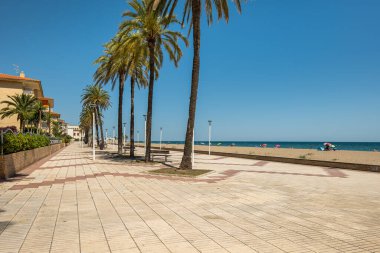 Huzurlu ve sakin bir sahil yolu, Palmiye ağaçları ve altın kumlu plajlar