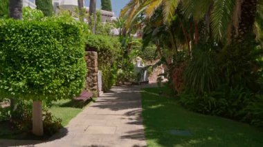 Bereketli yeşillik ve çeşitli egzotik bitkiler tarafından güzel çerçevelenmiş huzurlu ve huzurlu bir bahçe yolu.