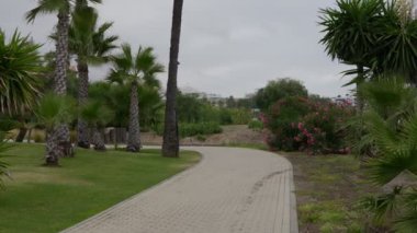 Huzurlu ve sakin bir yürüyüş yolu canlı tropikal bitki örtüsünün ve gri gökyüzünün altındaki uzun palmiye ağaçlarının arasında dolaşır.