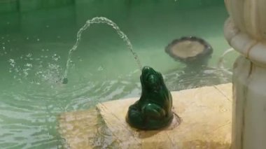 Huzurlu ve huzurlu bir bahçede, aslan heykeliyle süslenmiş büyüleyici bir çeşme zarif bir şekilde su püskürtür.