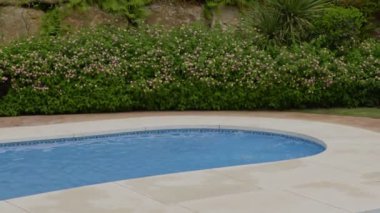 Huzurlu ve sakin bir havuz sahnesi, berrak mavi sularla birlikte arka planda canlı, yemyeşil bir su.