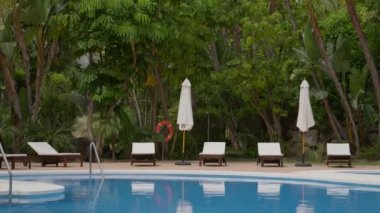 Huzurlu bir havuz alanı. Rahat şezlonglar ve geniş şemsiyeler. Etrafı yemyeşil, canlı bitkilerle çevrili.