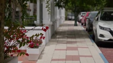 Canlı çiçeklerle süslenmiş, şehir hayatının ve huzurun özünü gözler önüne seren güzel ve pitoresk bir kaldırım.