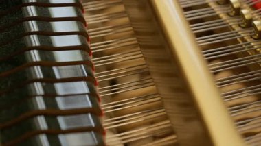 Piyano tellerinin ve eşsiz mekanizmalarının karmaşık görüntüsü, müzik sanatının güzelliğini gözler önüne seriyor.