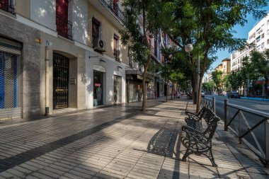 Madrid, İspanya - 13 Temmuz 2019. Madrid 'de sakin bir cadde zarif bankları, yüksek ağaçları ve sabah ışığında huzurlu bir şehir atmosferi olan..