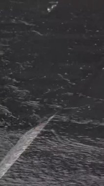 Suyun pürüzsüz, koyu taştan bir panelden akarak yansıtıcı ve akışkan bir etki yarattığının detaylı bir görüntüsü..