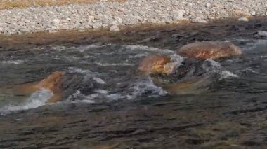 Huzurlu ve huzurlu bir nehir manzarası rengarenk çakıl taşları ve doğanın kalbinde yumuşak su akışı sergiliyor.