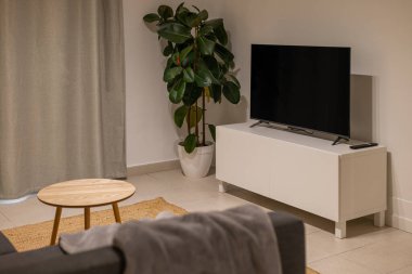 Beyaz dolapta televizyon, saksı bitkisi, sehpa ve kanepenin bir parçasını gösteren modern bir oturma odası.