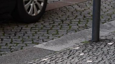Araba tekerleği ve taşların arasında küçük yeşil çim tutamları olan kaldırımlı sokak kenarının alçak açısı