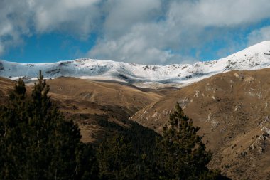 Parlak gökyüzü ve karlı tepeleri olan dağ manzarası ağaçların ve altın tepelerin üzerinde beliriyor.