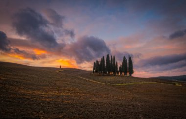 Tuscany 'deki muhteşem sonbahar renkli gündoğumu manzarası. Gündoğumunda Siena, Tuscany, İtalya ve Avrupa yakınlarında muhteşem selvi ağaçları. Ekim 2022