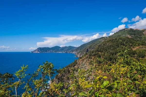 stock image Fornacchi Village in the upper mountainside behind Corniglia - Cinque Terre or 5 Terre, Five village on the Italian Riviera, Liguria, Italy. September 2022