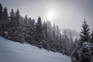 İtalya 'da kayak, Dolomitler, Madonna di Campiglio, Pinzolo. Ocak 2023 'te bulutlu bir kış günü