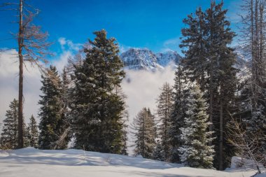 Brenta Dolomites 'in muhteşem bulutları ve Alpler Madonna di Campiglio, Pinzolo, İtalya' nın güzel manzarası. Ocak 2023