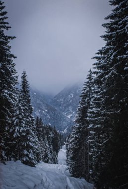 Ünlü İtalyan Alpleri Brenta Dolomites 'te bulutlu bir gün, Alpler Madonna di Campiglio, Pinzolo, İtalya' nın yamaçlarında kar. İtalya 'da kayak merkezleri. Ocak 2023