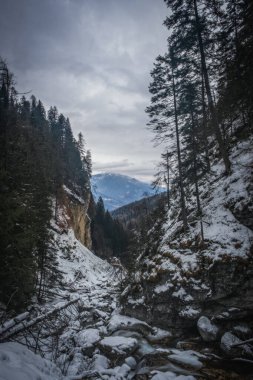 Dimaro ve Madonna di Campiglio arasındaki İtalya vadisi. Ocak 2023