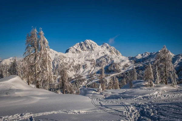 Estación Esquí Montaña Nassfeld Cerca Hermagor Austria Vista Matutina Pistas — Foto de Stock