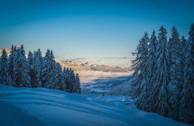 Hermagor, Avusturya yakınlarındaki dağlık kayak merkezi Nassfeld 'de. İyi hazırlanmış yamaçların sabah manzarası. Ocak 2022