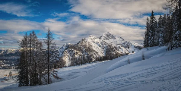 Árvores Nevadas Nassfeld Ski Resort Áustria Bela Paisagem Inverno Com — Fotografia de Stock