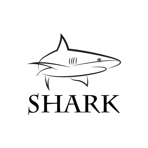 Plantilla Logotipo Línea Simple Tiburón Gráficos Vectoriales