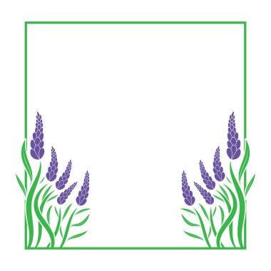 yeşil ve mor renkli modern lavanta bitkisi sınır çerçeve tasarım şablonu