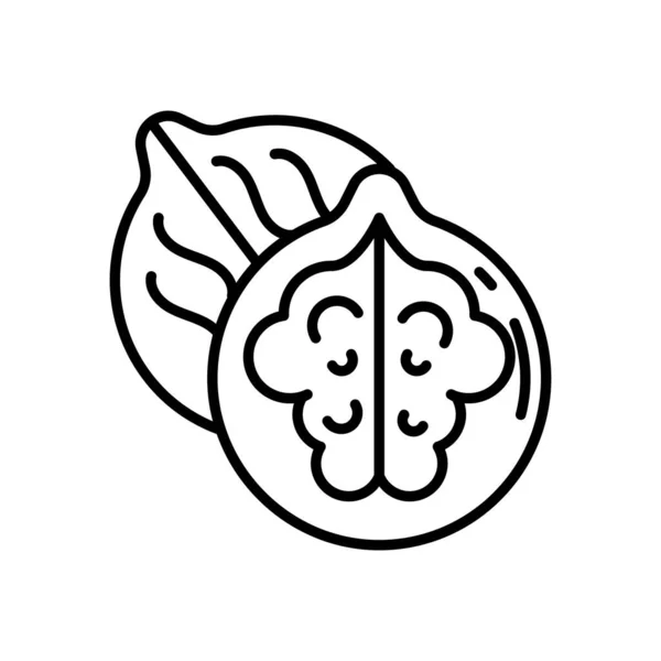 Значок Орехов Векторе Логотип — стоковый вектор