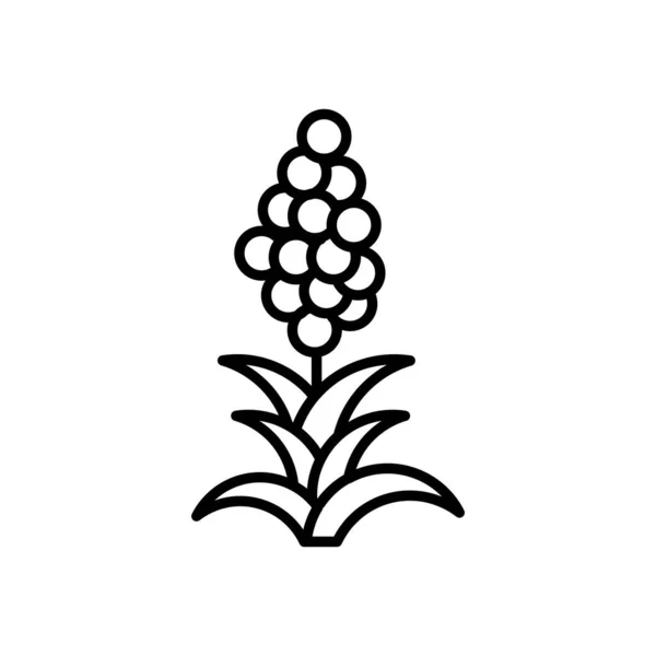 Icône Quinoa Dans Vecteur Logotype — Image vectorielle