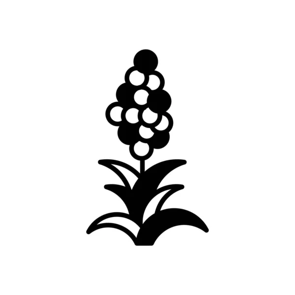 Quinoa Ikonen Vektor Logotyp — Stock vektor