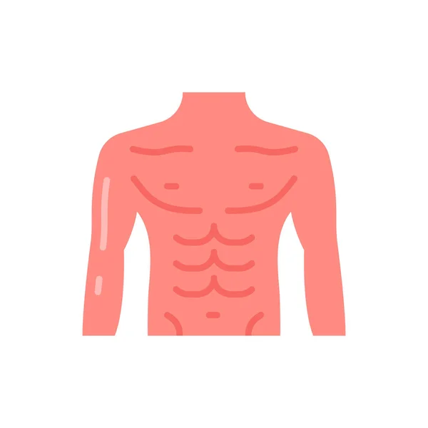 矢量中的胸部图标 标识类型 — 图库矢量图片