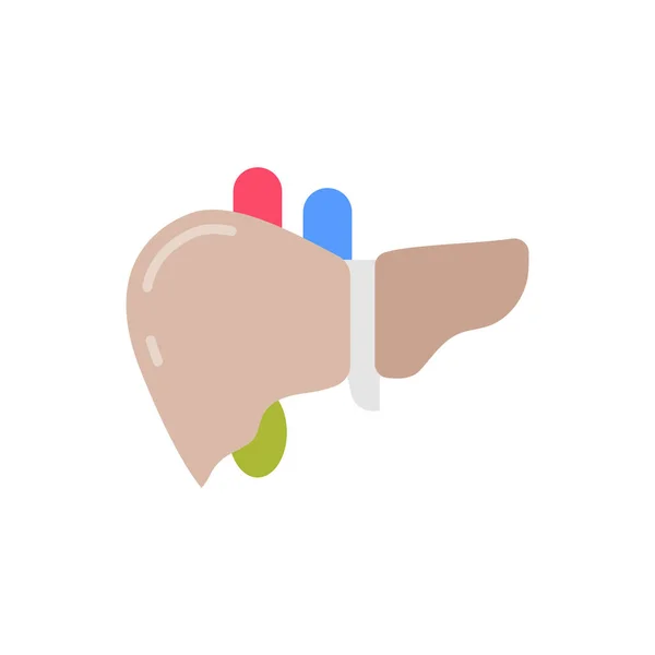 病媒中的肝脏图标 标识类型 — 图库矢量图片