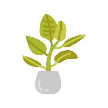 Vektör olarak Ficus simgesi. Logotype