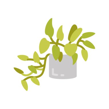 Vektör olarak Altın Pothos simgesi. Logotype