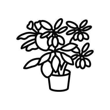 Vektör olarak genç Schefflera simgesi. Logotype