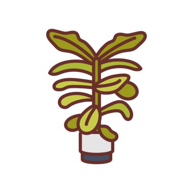 Vektör olarak Fiddle Leaf Fig simgesi. Logotype